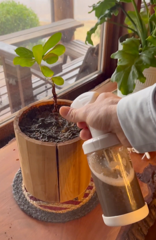 Plant Fertilizer