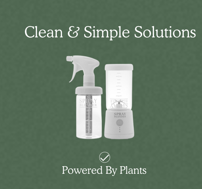 Clean _ Simple Solutions 1 (2).png__PID:8ead64c6-f006-444d-93bf-a8fca8fe02d9